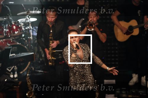 Amsterdam 27 september 2018
Presentatie nieuwe cd Andre Hazes in panama.