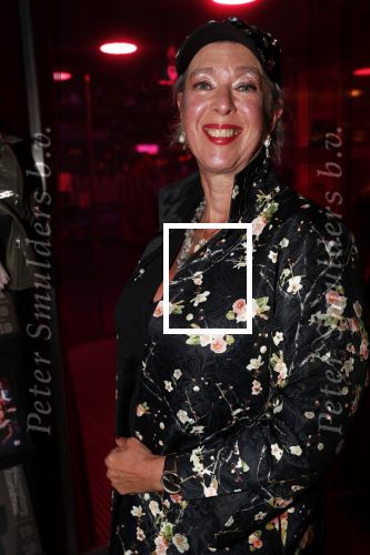 Amstelveen 24 september 2018
Premiere tussen kunst en kitch in schouwburg Amstelveen.  Anne Rose Bantzinger