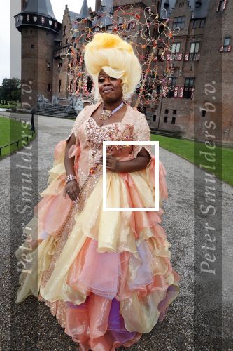 Haarzuilens 12 september 2018
Presentatie cast RTL Kerstshow op kasteel de haar. De cast bestaat uit Carlo Boszhard Buddy Vedder Esmee v Kampen Berget Lewis Pip Pellens Fred v Leer Ger Otte Celinde Schoenmaker en de kerstman.
