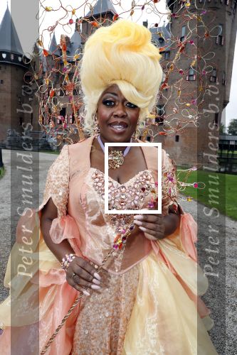 Haarzuilens 12 september 2018
Presentatie cast RTL Kerstshow op kasteel de haar. De cast bestaat uit Carlo Boszhard Buddy Vedder Esmee v Kampen Berget Lewis Pip Pellens Fred v Leer Ger Otte Celinde Schoenmaker en de kerstman.