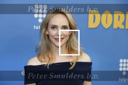 Amsterdam 17 september 2018
Premiere Doris in Tuschinski. De cast bestaat uit oa Tjitske Reidinga Guy Clemens Bracha v Doesburgh Tanik Moree Peter Blok .