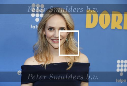Amsterdam 17 september 2018
Premiere Doris in Tuschinski. De cast bestaat uit oa Tjitske Reidinga Guy Clemens Bracha v Doesburgh Tanik Moree Peter Blok .