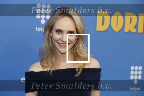 Amsterdam 17 september 2018
Premiere Doris in Tuschinski. De cast bestaat uit oa Tjitske Reidinga Guy Clemens Bracha v Doesburgh Tanik Moree Peter Blok .