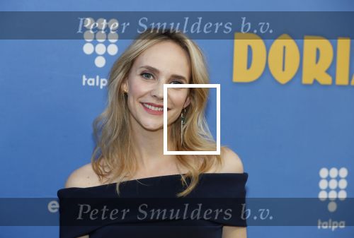 Amsterdam 17 september 2018
Premiere Doris in Tuschinski. De cast bestaat uit oa Tjitske Reidinga Guy Clemens Bracha v Doesburgh Tanik Moree Peter Blok .
