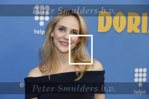 Amsterdam 17 september 2018
Premiere Doris in Tuschinski. De cast bestaat uit oa Tjitske Reidinga Guy Clemens Bracha v Doesburgh Tanik Moree Peter Blok .