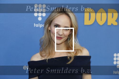 Amsterdam 17 september 2018
Premiere Doris in Tuschinski. De cast bestaat uit oa Tjitske Reidinga Guy Clemens Bracha v Doesburgh Tanik Moree Peter Blok .