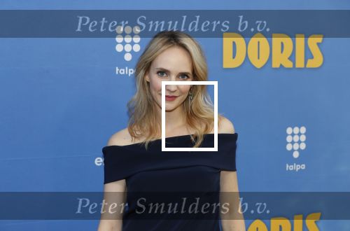 Amsterdam 17 september 2018
Premiere Doris in Tuschinski. De cast bestaat uit oa Tjitske Reidinga Guy Clemens Bracha v Doesburgh Tanik Moree Peter Blok .