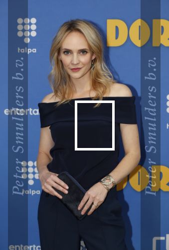 Amsterdam 17 september 2018
Premiere Doris in Tuschinski. De cast bestaat uit oa Tjitske Reidinga Guy Clemens Bracha v Doesburgh Tanik Moree Peter Blok .