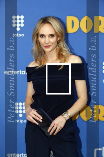 Amsterdam 17 september 2018
Premiere Doris in Tuschinski. De cast bestaat uit oa Tjitske Reidinga Guy Clemens Bracha v Doesburgh Tanik Moree Peter Blok .