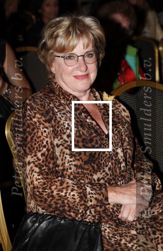 Amsterdam 16 september 2018
45 jaar Sheila de Vries in het Hilton. Catherine Keyl
