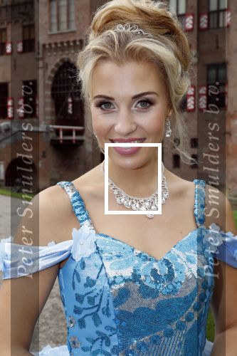 Haarzuilens 12 september 2018
Presentatie cast RTL Kerstshow op kasteel de haar. De cast bestaat uit Carlo Boszhard Buddy Vedder Esmee v Kampen Berget Lewis Pip Pellens Fred v Leer Ger Otte Celinde Schoenmaker en de kerstman.