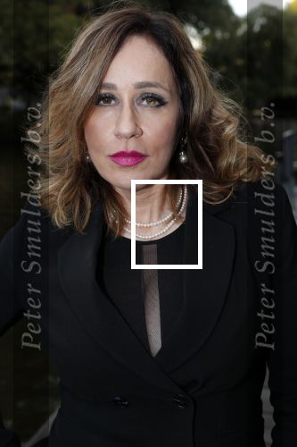 Amsterdam 25 september 2018
Presentatie Amsterdam XXXL bij sushisamba.  Conchita v Rooij