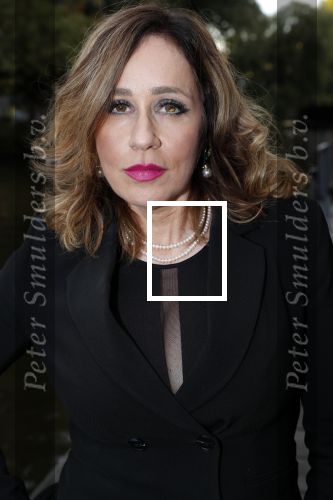 Amsterdam 25 september 2018
Presentatie Amsterdam XXXL bij sushisamba.  Conchita v Rooij
