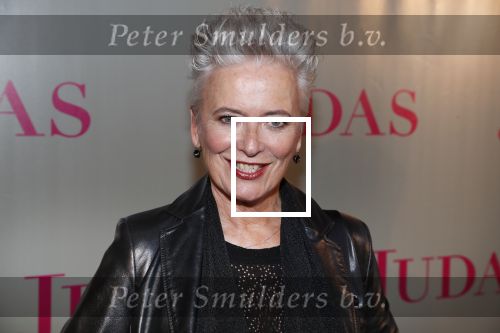Amsterdam20 september 2018
Premiere Judas in de meervaart. Doris Baaten