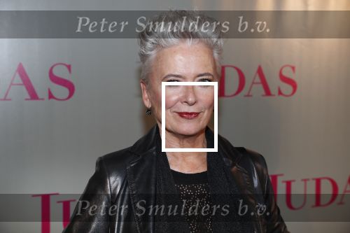 Amsterdam20 september 2018
Premiere Judas in de meervaart. Doris Baaten