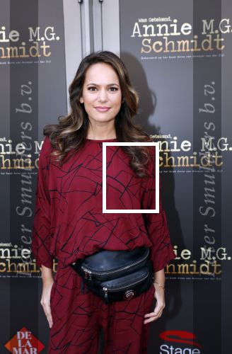 Amsterdam 30 september 2018
1 jaar Annie MG Schmidt in het delamar theater. Elize