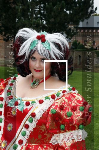 Haarzuilens 12 september 2018
Presentatie cast RTL Kerstshow op kasteel de haar. De cast bestaat uit Carlo Boszhard Buddy Vedder Esmee v Kampen Berget Lewis Pip Pellens Fred v Leer Ger Otte Celinde Schoenmaker en de kerstman.