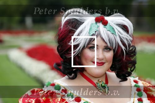 Haarzuilens 12 september 2018
Presentatie cast RTL Kerstshow op kasteel de haar. De cast bestaat uit Carlo Boszhard Buddy Vedder Esmee v Kampen Berget Lewis Pip Pellens Fred v Leer Ger Otte Celinde Schoenmaker en de kerstman.