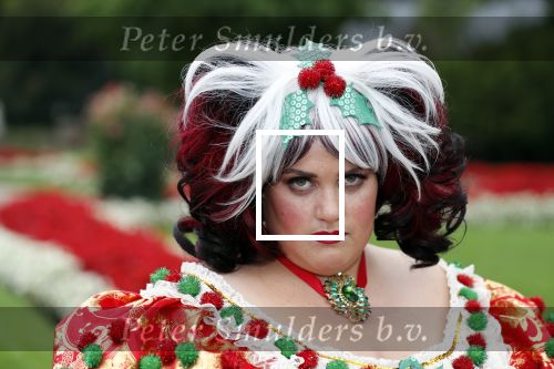 Haarzuilens 12 september 2018
Presentatie cast RTL Kerstshow op kasteel de haar. De cast bestaat uit Carlo Boszhard Buddy Vedder Esmee v Kampen Berget Lewis Pip Pellens Fred v Leer Ger Otte Celinde Schoenmaker en de kerstman.