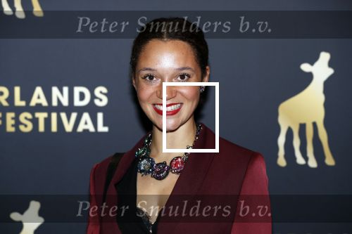 Utrecht 27 september 2018
Openingsavond Nederlandse Filmdagen in schouwburg Utrecht.