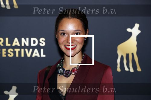 Utrecht 27 september 2018
Openingsavond Nederlandse Filmdagen in schouwburg Utrecht.
