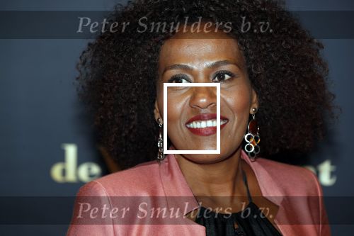 Utrecht 27 september 2018
Openingsavond Nederlandse Filmdagen in schouwburg Utrecht.