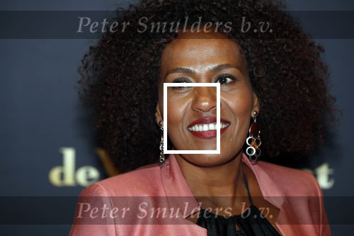 Utrecht 27 september 2018
Openingsavond Nederlandse Filmdagen in schouwburg Utrecht.
