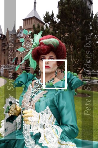 Haarzuilens 12 september 2018
Presentatie cast RTL Kerstshow op kasteel de haar. De cast bestaat uit Carlo Boszhard Buddy Vedder Esmee v Kampen Berget Lewis Pip Pellens Fred v Leer Ger Otte Celinde Schoenmaker en de kerstman.