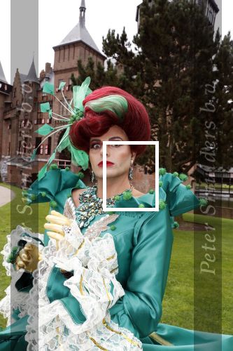 Haarzuilens 12 september 2018
Presentatie cast RTL Kerstshow op kasteel de haar. De cast bestaat uit Carlo Boszhard Buddy Vedder Esmee v Kampen Berget Lewis Pip Pellens Fred v Leer Ger Otte Celinde Schoenmaker en de kerstman.