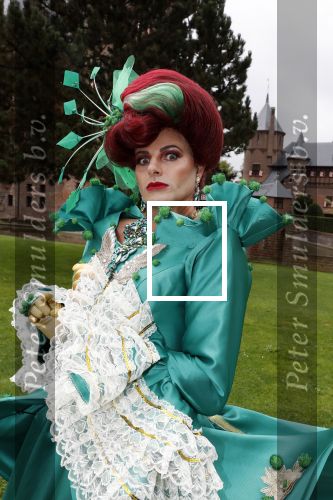 Haarzuilens 12 september 2018
Presentatie cast RTL Kerstshow op kasteel de haar. De cast bestaat uit Carlo Boszhard Buddy Vedder Esmee v Kampen Berget Lewis Pip Pellens Fred v Leer Ger Otte Celinde Schoenmaker en de kerstman.