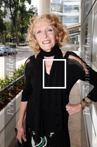 Amsterdam 16 september 2018
45 jaar Sheila de Vries in het Hilton. Gerrie v d Klei
