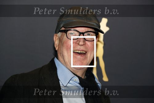 Utrecht 27 september 2018
Openingsavond Nederlandse Filmdagen in schouwburg Utrecht. Hans Kemna