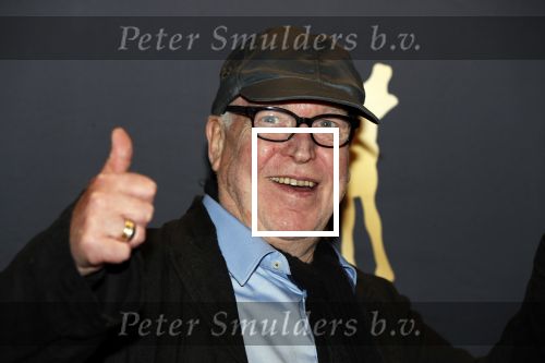 Utrecht 27 september 2018
Openingsavond Nederlandse Filmdagen in schouwburg Utrecht. Hans Kemna