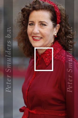 Den Haag 18 september 2018
Prinsjesdag 2018 op het binnenhof. Komning Willem Alexander Koningin Maxima Prins Constantijn en Prinses Laurentien zijn aanwezig.
Ingrid v Engelshoven met man