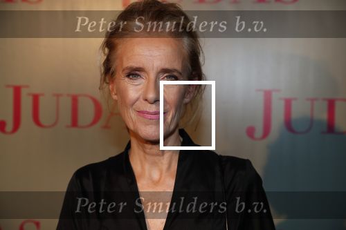 Amsterdam20 september 2018
Premiere Judas in de meervaart. Jette v d Meij