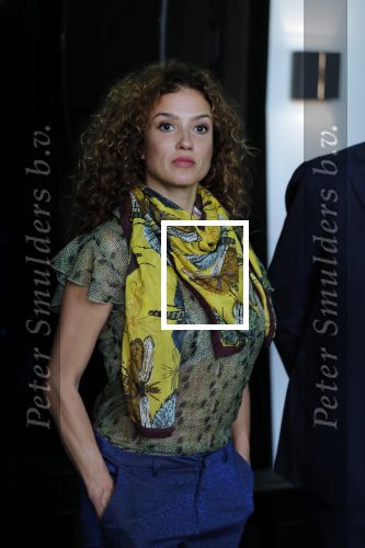 Amsterdam 7 september 2018
Presentatie stoptober 2018 door Froukje de Both met Katja Schuurman Jan Slagter en Kees v d Spek in Vondel CS.