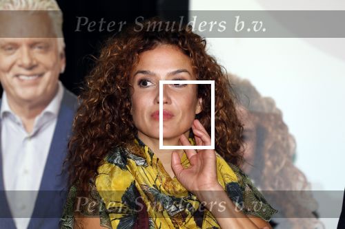 Amsterdam 7 september 2018
Presentatie stoptober 2018 door Froukje de Both met Katja Schuurman Jan Slagter en Kees v d Spek in Vondel CS.