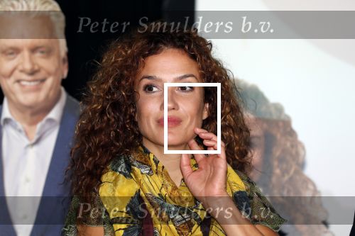 Amsterdam 7 september 2018
Presentatie stoptober 2018 door Froukje de Both met Katja Schuurman Jan Slagter en Kees v d Spek in Vondel CS.