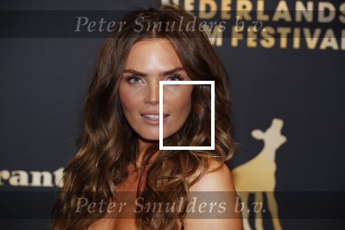 Utrecht 27 september 2018
Openingsavond Nederlandse Filmdagen in schouwburg Utrecht. Kim Feenstra kwam met vriend