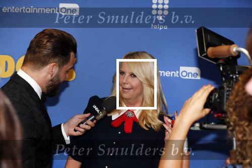 Amsterdam 17 september 2018
Premiere Doris in Tuschinski. De cast bestaat uit oa Tjitske Reidinga Guy Clemens Bracha v Doesburgh Tanik Moree Peter Blok .
