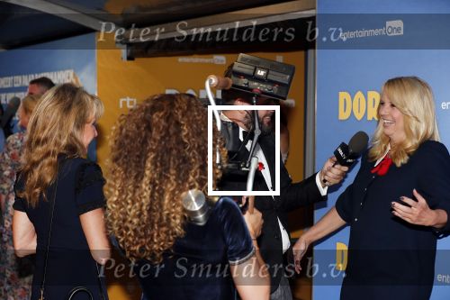 Amsterdam 17 september 2018
Premiere Doris in Tuschinski. De cast bestaat uit oa Tjitske Reidinga Guy Clemens Bracha v Doesburgh Tanik Moree Peter Blok . Linda de Mol kwam met partner Jeroen Rietbergen