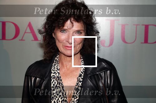 Amsterdam20 september 2018
Premiere Judas in de meervaart. Linda v Dijck met zoon