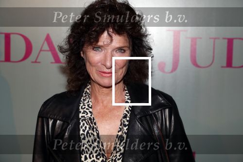 Amsterdam20 september 2018
Premiere Judas in de meervaart. Linda v Dijck met zoon