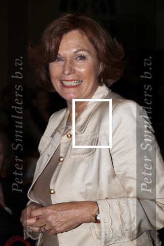 Amsterdam 16 september 2018
45 jaar Sheila de Vries in het Hilton. Liz Snoijink