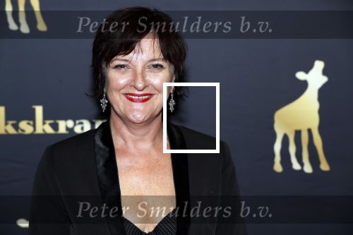Utrecht 27 september 2018
Openingsavond Nederlandse Filmdagen in schouwburg Utrecht. Loes Schnepper