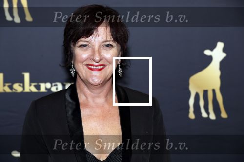 Utrecht 27 september 2018
Openingsavond Nederlandse Filmdagen in schouwburg Utrecht. Loes Schnepper