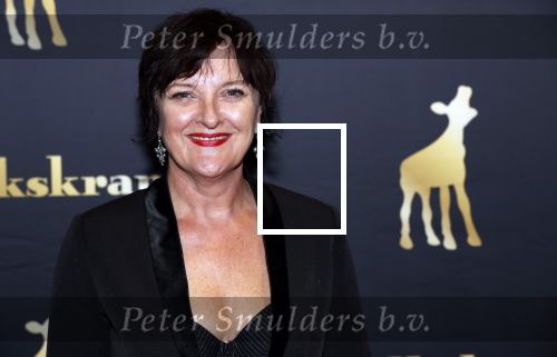 Utrecht 27 september 2018
Openingsavond Nederlandse Filmdagen in schouwburg Utrecht. Loes Schnepper