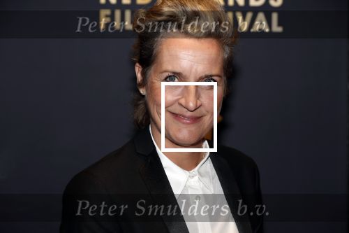 Utrecht 27 september 2018
Openingsavond Nederlandse Filmdagen in schouwburg Utrecht. 
Margriet v d Linden