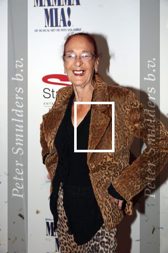 Utrecht 23 september 2018
Premiere Mamma Mia in het Beatrix Theater. Marianne Nobel