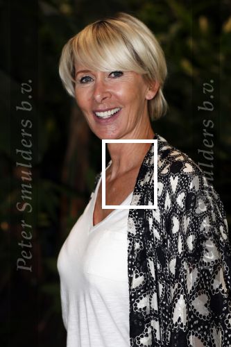 Amsterdam 13 september 2018
Talkies Lunch in Amsterdam. Monique des Bouvrie
